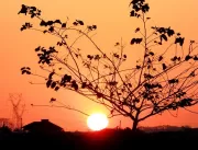 Uberlândia registra dia mais quente do ano