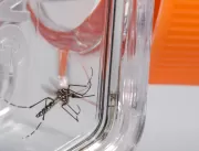 Chuva e calor reforça preocupação com o Aedes