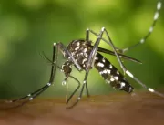 Idosa de 88 anos é segunda vítima fatal da dengue 