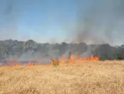 Incêndio atinge área de preservação no bairro Jard