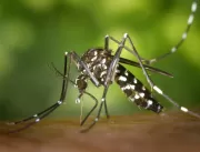 Uberlândia tem mais uma morte por dengue confirmad