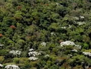 Minas apresenta programas de preservação ambiental