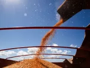 Produção de grãos deve chegar a 268,3 milhões de t