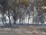 Incêndio destrói 200 hectares de vegetação de rese