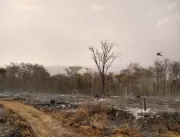Corpo de Bombeiros registra mais de 200 queimadas 