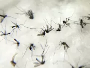 10ª morte por dengue é confirmada em Uberlândia