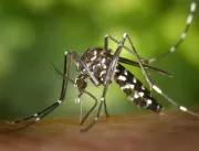 Uberlândia contabiliza segunda morte por chikungun