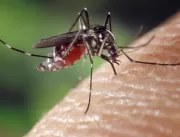 Mais duas mortes por dengue são confirmadas em Ube