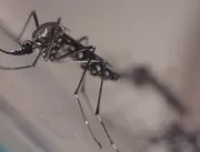 Mais um óbito por dengue é confirmado em Uberlândi