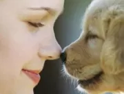 
Ciência comprova: cães têm sentimentos como human