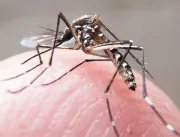 Governo declara fim de  emergência pelo vírus Zika