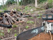 Desmatamento ilegal é encontrado a 20 km de Uberlâ