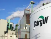 Fundação Cargil recebe inscrições até domingo