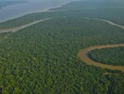 Reserva no Amazonas é considerada modelo no país e