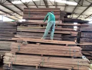Ibama deflagra nova ação contra madeira irregular