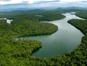 MG é o 2º estado com maior regeneração florestal