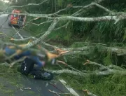Motociclista de 22 anos morre após queda de árvore