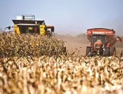 Agronegócio encerra ano com safra recorde de grãos