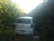 Em cafezal de Araguari, PC encontra carro roubado 