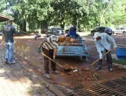 Mutirão de limpeza é realizado em Uberlândia após 