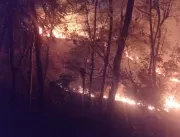 Parque do Pau Furado registra segundo incêndio 