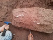 Fóssil de 85 milhões de anos é achado na região