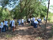 Parque do Pau Furado recebe ação de limpeza