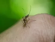 Nono óbito por dengue em Uberlândia é de jovem de 