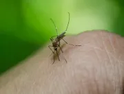Novas mortes por dengue são confirmadas em Uberlân