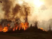Incêndios em áreas verdes se alastram em Uberlândi