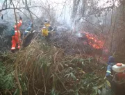 Reserva da Usina de Miranda pega fogo após curto-c