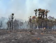 Incêndio na BRF em Uberlândia é extinto após 36 ho