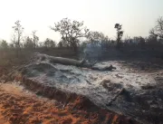 Cerca de 5 mil hectares de fazenda são incendiados