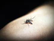 Uberlândia tem mais uma morte por dengue confirmad