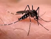 Uberlândia tem 30 casos de zika vírus e 18 de chik