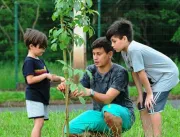 Voluntários criam projeto para plantio de ipês em 