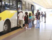 Prefeitura oferta linhas especiais de ônibus para 