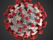 Brasil tem primeira morte pelo novo coronavírus