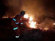 Incêndio destrói cerca de 20 hectares de vegetação