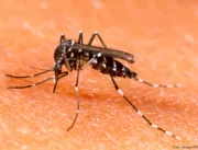 Dengue já fez 51 vítimas fatais nos dois primeiros