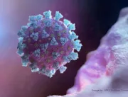 Japão detecta nova variante de coronavírus em viaj