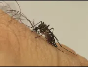 Chuvas reacendem alerta sobre a dengue em Uberlând