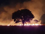 Número de queimadas em Uberlândia cresce mais de 6