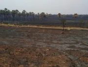 Incêndio destrói quase 600 hectares de reserva no 