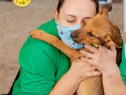 Instituto SOS Pet realiza feira de adoção de anima