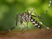 Em menos de um mês, casos prováveis de dengue cres