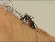 Uberlândia registra primeira morte por dengue em 2