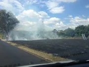 Mais uma queimada é registrada em Uberlândia