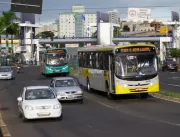 Ônibus do transporte coletivo pega fogo em Uberlân