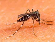 Segundo OMS, Zika vírus pode se espalhar pela Euro